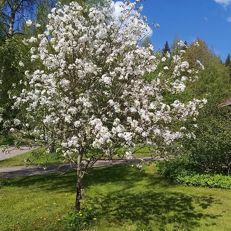 여관 Majatalo Henkireikae Sahakoski